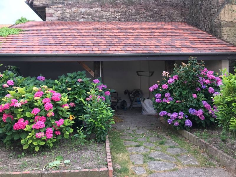 Que diriez-vous d'un petit déjeuner dans notre jardin ?