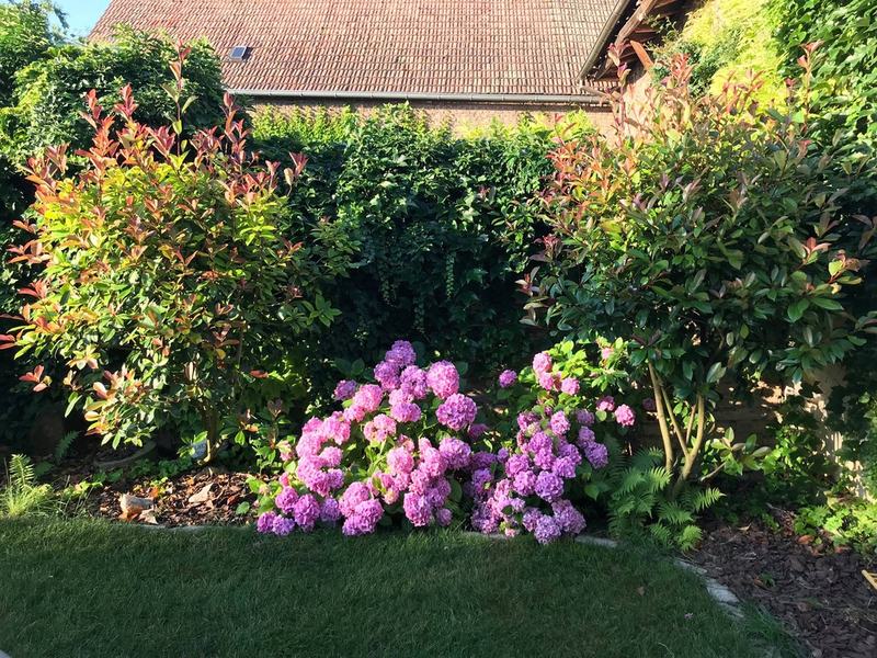 Que diriez-vous d'un petit déjeuner dans notre jardin ?